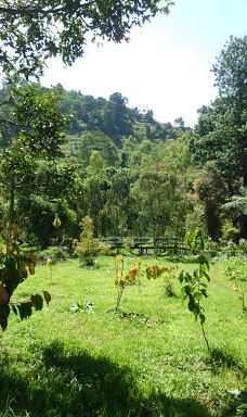 Arboretum Sumber Brantas-Bumiaji