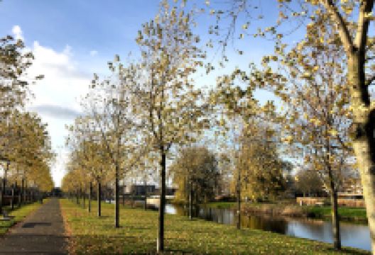 Thalenpark景点图片