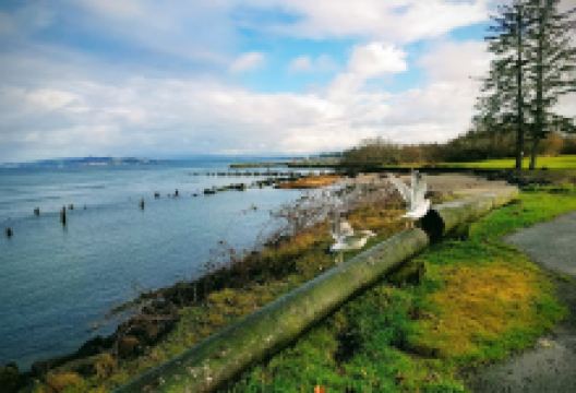Seafarer's Park景点图片