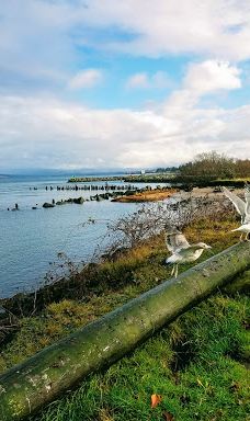 Seafarer's Park-沃伦顿