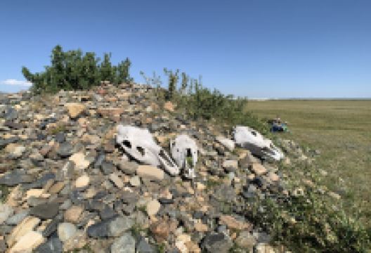 First Turtle Marker景点图片