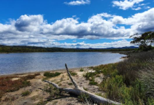 Winifred Curtis Reserve景点图片