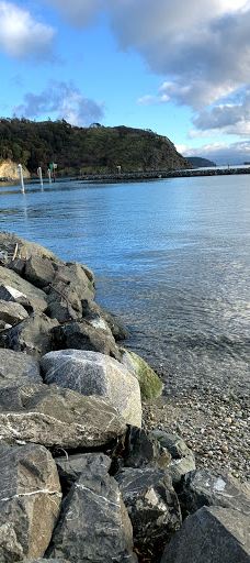 Seafarers Memorial Park-阿纳科特斯