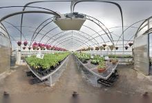 Hultink Garden Centre Ltd.购物图片