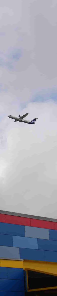 丹麦比隆乐高世界-比隆-石楠子