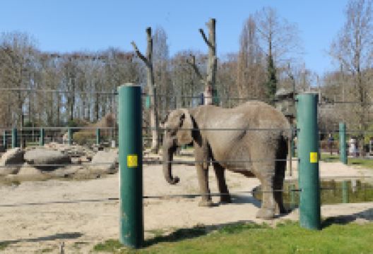 奥尔堡动物园景点图片