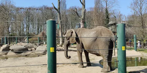 奧爾堡動物園