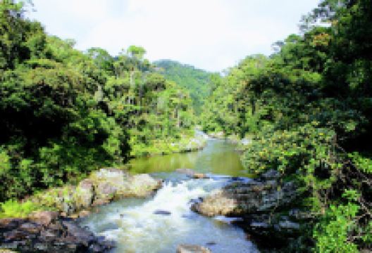 Ranomafana NP Reception and Shop景点图片