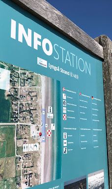 Lyngså Strand-赛比