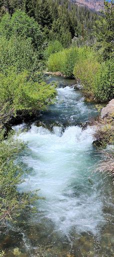 Yankee Fork Gold Dredge-卡斯特县