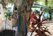 Wat Nong Muang Khai Temple景点图片