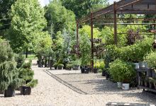 Ace Outdoors, Inc购物图片