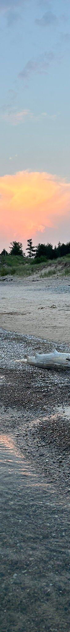 Pinery Provincial Park-大本德