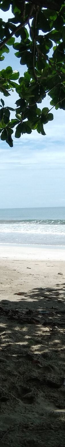 卡维塔国家公园-Talamanca