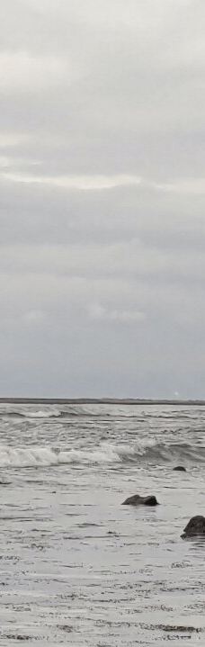 雨晴海岸-高冈市