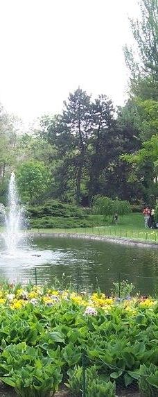 Danube Park-诺维萨德