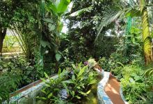 Zaporizhzhia City Children Botanical Garden景点图片