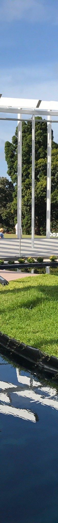 悉尼皇家植物园-悉尼