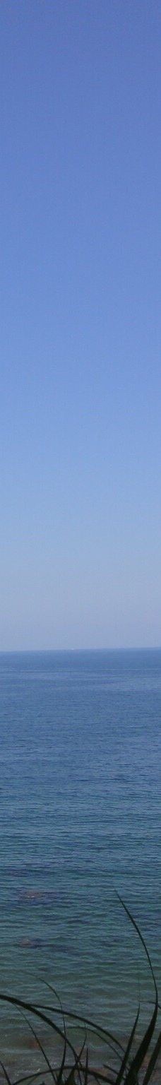 大神ファーム-日出町