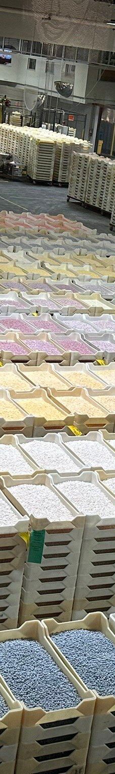 Jelly Belly Factory Tour-费尔菲尔德