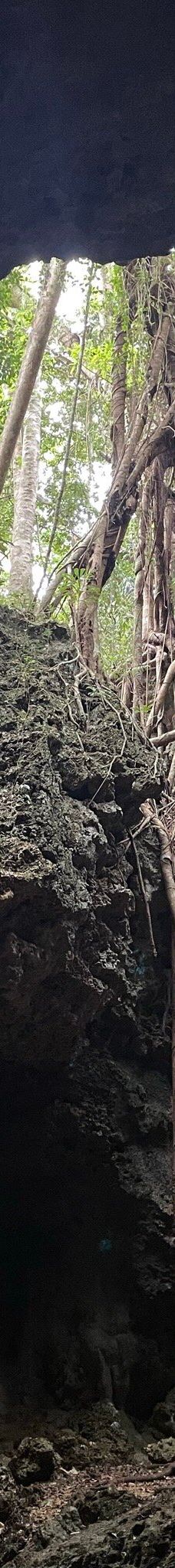 Grotte de Hortense-松树岛