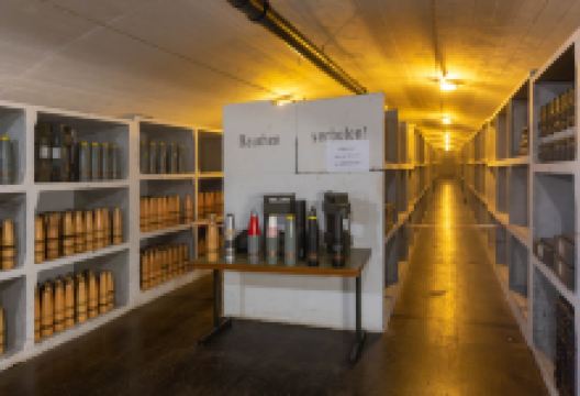 Festung Vitznau景点图片