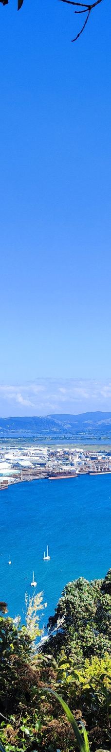 Mauao / Mount Maunganui summit-塔朗哥