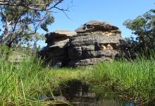 Dunns Swamp景点图片