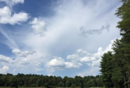 Cat Rock Park景点图片