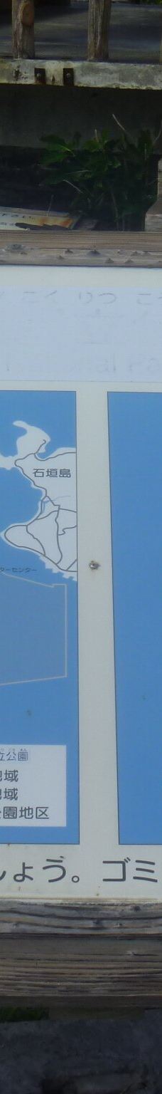 中本海岸-竹富町