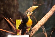 Natural Sciences Museum景点图片