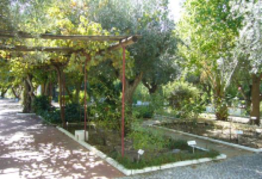 Horto de Camoes Garden景点图片