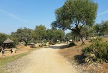 Parque Periurbano Los Cabezos景点图片