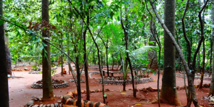 Paramount Spice Garden