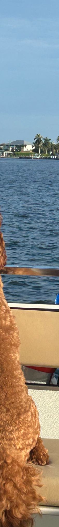 Hemingway Water Shuttle-柯里尔县