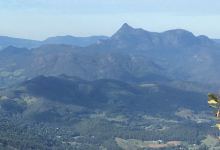 Antarctic Beech Trees景点图片