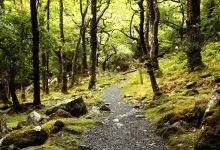 Rhaeadr Ddu Waterfalls景点图片