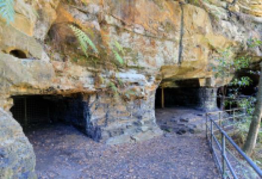 Erith Coal Mine Trail景点图片