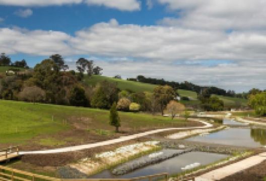 Neerim South Wetlands景点图片
