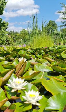 Botanical Garden-维尔茨堡