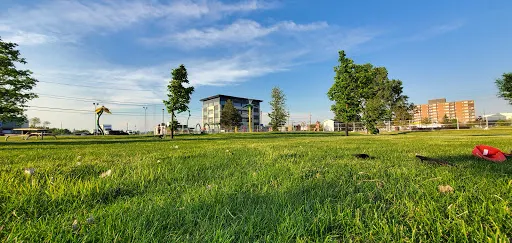Hollinger Park