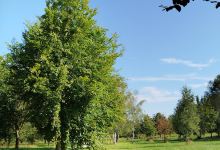 Landschafts Park景点图片