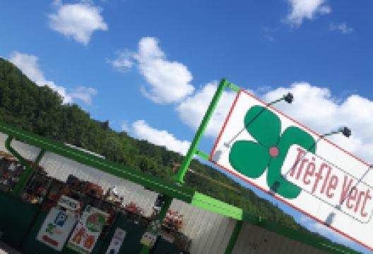 Trèfle Vert MUNSTER购物图片