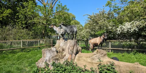 Water Fowl Sanctuary and Children's Farm