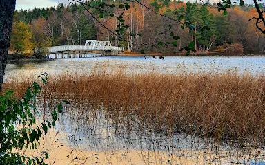 Liessaari Nature- & Wellness Trail