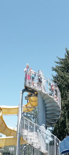 Swanson Park-奥尔巴尼