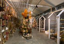 Gartencenter Gilg GmbH购物图片