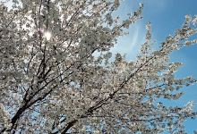 Casa da Poesia Eugénio de Andrade景点图片