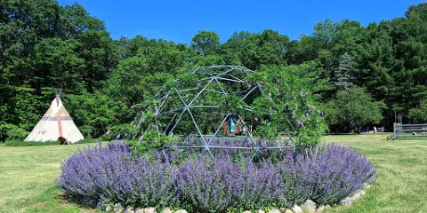 Mad Lavender Farm