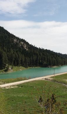 Savrun Stream-卡迪尔利